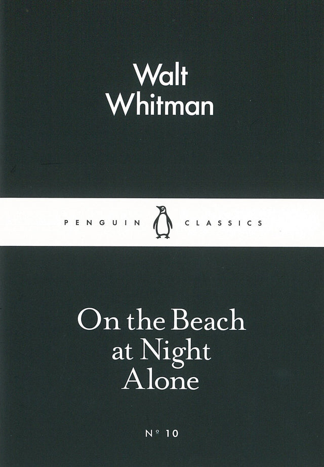 On the Beach at Night Alone