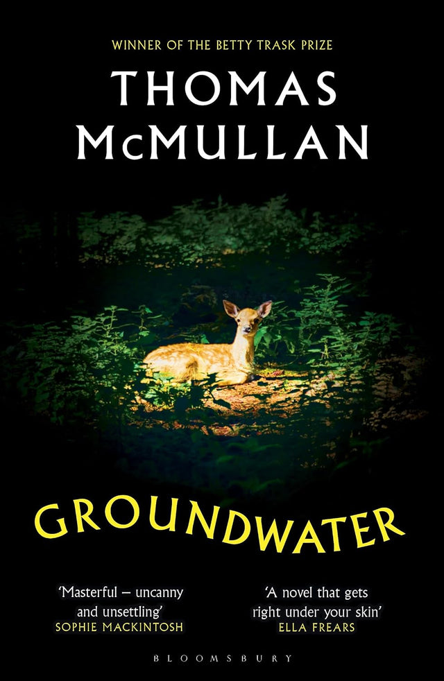 Groundwater