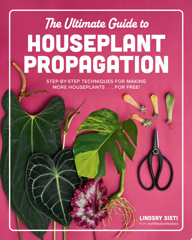 The Ultimate Guide to Houseplant Propagation
