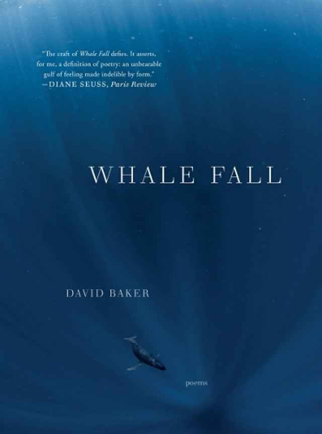 Whale Fall