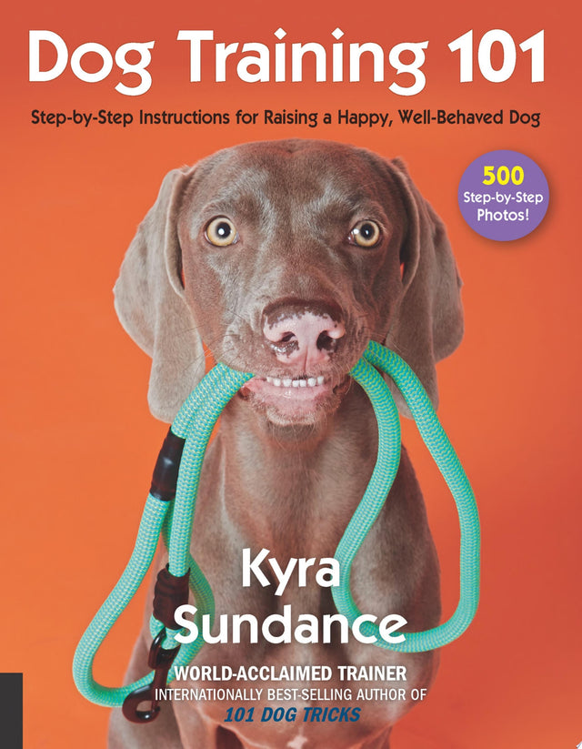 Dog Training 101