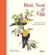 Bird, Nest & Egg