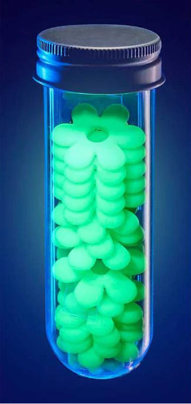 4M: Wish Lab Glow-In-The-Dark Flowers