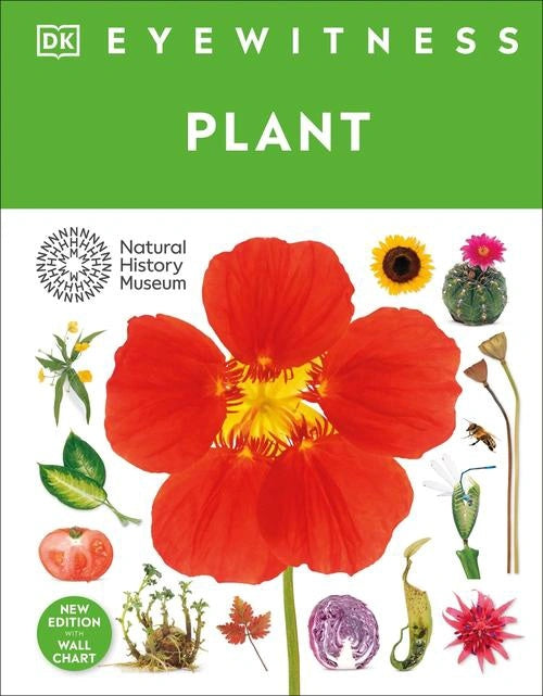 Eyewitness Plant