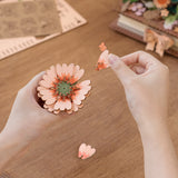 Rolife: Wooden Blooming Book DIY Miniature Puzzle Kit - (TW04H)