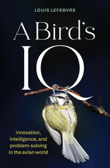 A Bird's IQ