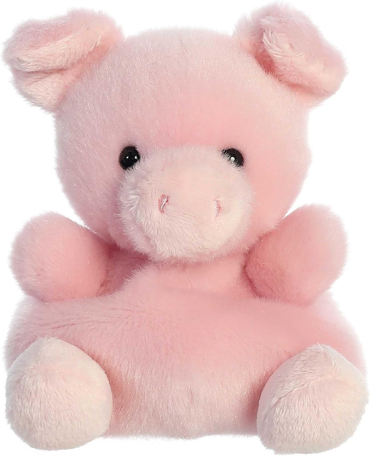 Palm Pals Plush - Wizard Pig