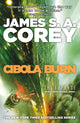 Cibola Burn