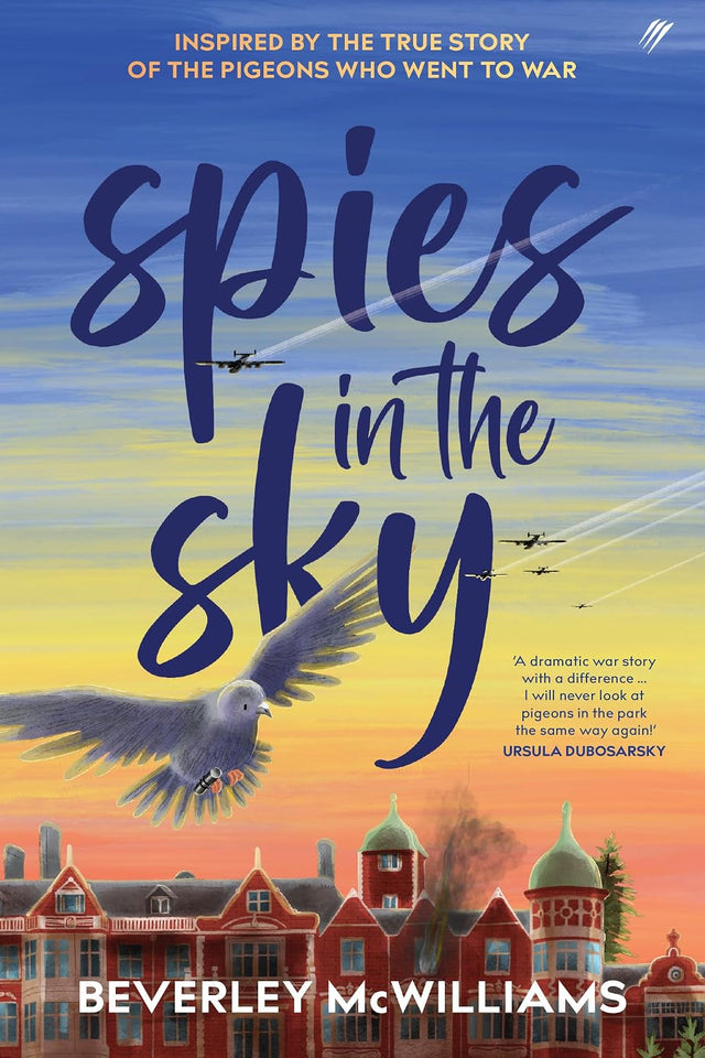 Spies In The Sky