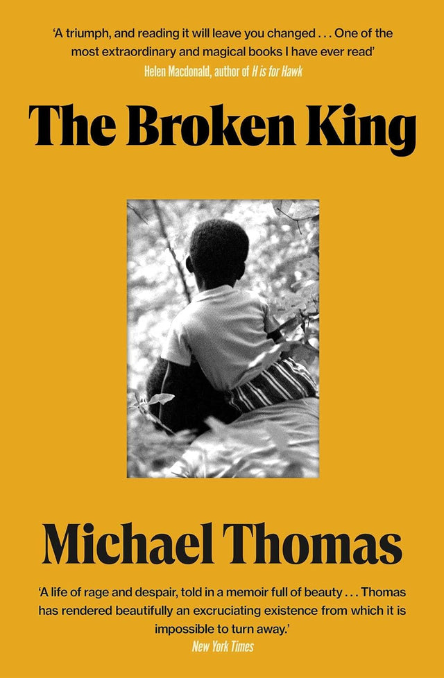 The Broken King