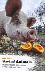 Saving Animals