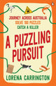 A Puzzling Pursuit