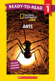 National Geographic Kids: Ants - Ready-to-Read Level 1 (Disney)