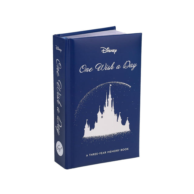Disney One Wish a Day