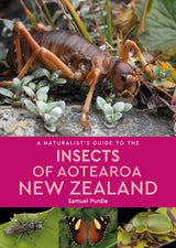 A Naturalist's Guide To The Insects Of Aotearoa New Zealand