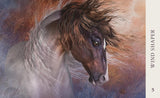 Horse Wisdom Oracle