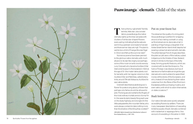 Aotearoa in Bloom