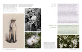 Aotearoa in Bloom