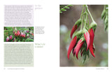 Aotearoa in Bloom