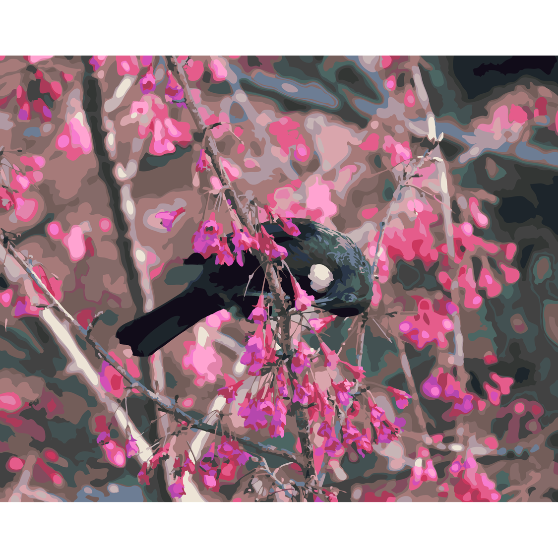 Kiwi Paint By Numbers - Tui in Cherry Tree