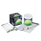 4M Glow Crystal Growing Kit