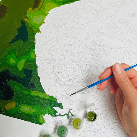Kiwi Paint By Numbers - Kakapo