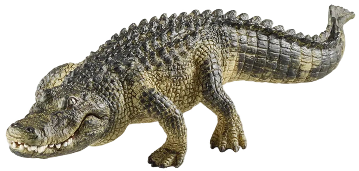 Schleich - Alligator