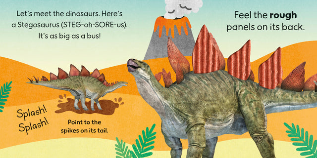 Touch and Feel Dinosaur