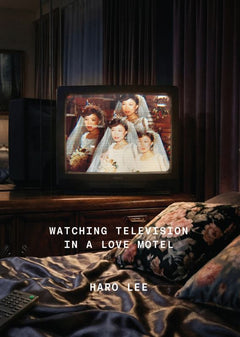 Watching Television in a Love Motel